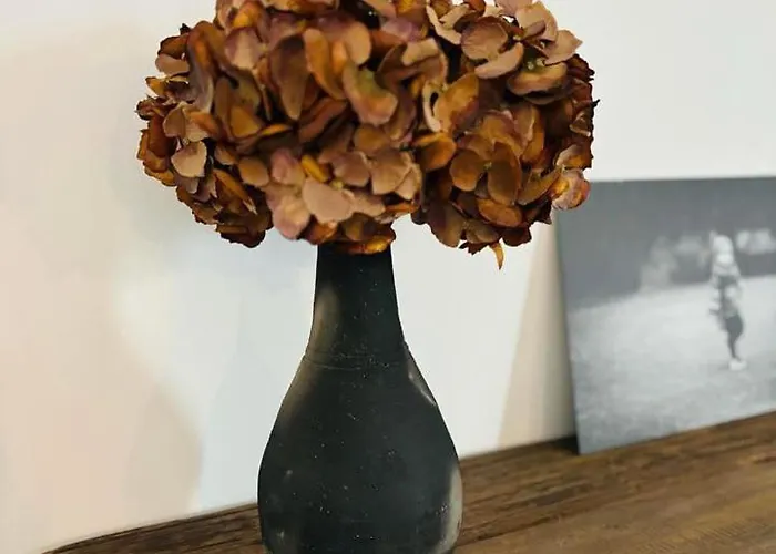 La Hindi Отель типа 